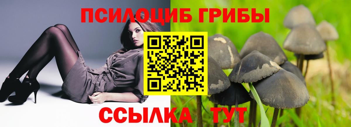 Галлюциногенные грибы ЛСД Ногинск